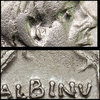 close-up-Brutus-.jpg