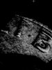 20200328_020207.jpg