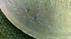 SUNP0089.JPG