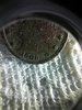 IMG_20200401_062539.jpg