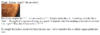 upload_2020-4-2_8-16-11.png