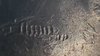 magnifier_20200331_093950.jpg