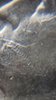 magnifier_20200331_090725-ccfopt.jpg