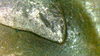 SUNP0103.JPG