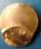 misdied penny 1.jpg