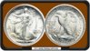 for coin talk 1 walking liberty.JPG