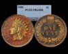 1900 PR 64 RB PCGS.jpg