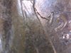 Jpg_20110402160702.jpg