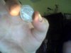 Snapshot_20110403_1.jpg
