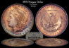 1878_Morgan_Dollar.jpg