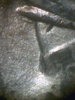cpm_1878CC_V20_Eye_Gouge.jpg