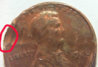 pic1.jpg