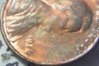 COIN PHOTO.jpg