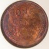 1909- VDB NGC 64 A5 R.JPG