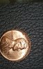 magnifier_20200413_092509.jpg