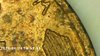 1925 Lincoln Right Wheat Tip.jpg
