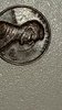 20200428_101946.jpg