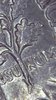 Image_2020-04-28 17_39_13_579.JPG