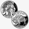 2001_Buffalo_Dollar.jpg