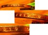 2010 D Sacagawea Dollar Coin for C.T. compressed.jpg