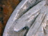1916 double died1.jpg