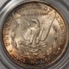 1887PCGSMS64rev-1.jpg