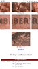 Screenshot_20200506-140904.png