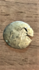 silver anc.png