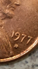 CF79D9EF-2BF1-484D-8B36-E45268D354D6.png