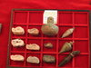 DSCN0882.JPG