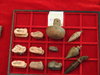 DSCN0884.JPG