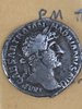 hadrian front.jpg