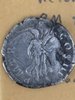 hadrian back.jpg