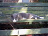 HNI_0034.JPG