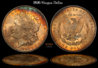 1896_Morgan_Dollar_ANACS64.jpg
