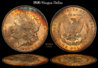 1896_Morgan_Dollar_ANACS64.jpg
