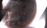 6b.jpg
