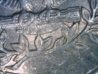 8 feathered 1996 Quarter.jpg