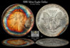 1991_Silver_Eagle.jpg