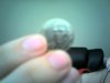 Snapshot_20110423_1.jpg