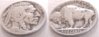 1926buffalo.jpg