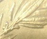Morgan Leaf 2.jpg