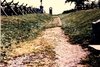 Sunken Road low.jpg