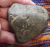 DSCN4495.JPG