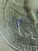 20200323_202729.jpg