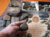 DSCN4504.JPG