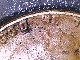 A231 - 20200612_224821.jpg