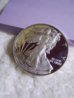2009 ASE PF 003.jpg