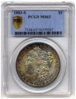 PCGS.jpg