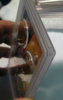 SANY0007.jpg